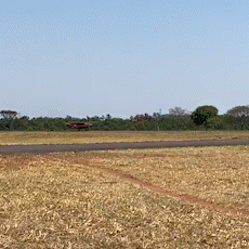 Corpo de médico é resgatado após acidente aéreo em fazenda no Pantanal