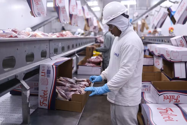 Estudo revela mercados alternativos aos EUA para exportações de MS