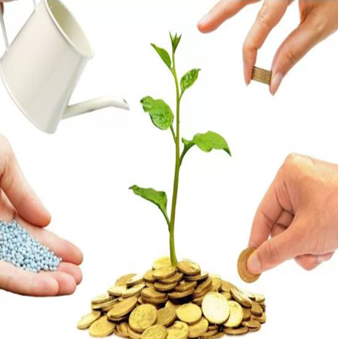 limite de 1% ao ano para produtores